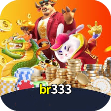 br333
